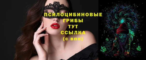 шишки Аркадак