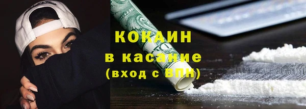 шишки Аркадак