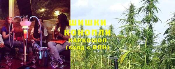 шишки Аркадак