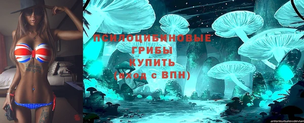 шишки Аркадак
