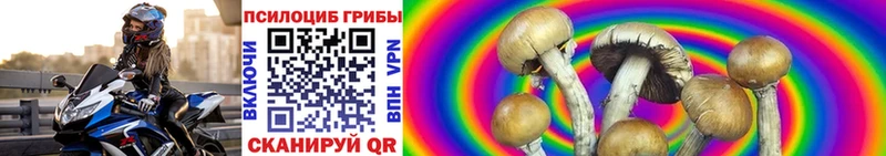 kraken зеркало  Порхов  Галлюциногенные грибы мицелий  купить наркоту 